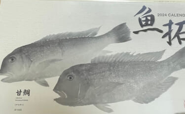 「死んだ魚のような目ってどんな目？」サカナに関する著名なことわざ／慣用…