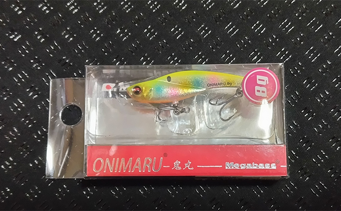 東京湾奥河川で56cmシーバス浮上【千葉・養老川】バチは不在でボトム狙い撃ちが的中