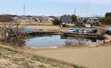 今週のヘラブナ推薦釣り場2024【埼玉県・九頭竜沼】