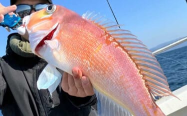 【船のエサ釣り釣果速報】ひとつテンヤでアマダイを連打！（福岡）