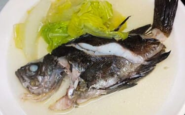 釣魚で作る「健康」レシピ：メバルと白菜のマース煮　野菜にうま味染み込む