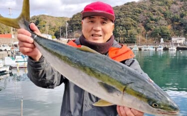 船でのエサ釣りで脂ノリノリの寒ブリ手中【三重・奈屋浦沖】冷凍イワシエサのテンビン仕掛けにヒット