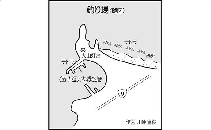 陸っぱりエギングでヤリイカ16尾【島根・大浦漁港】塩漬けチキンのエサ巻きエギに好反応