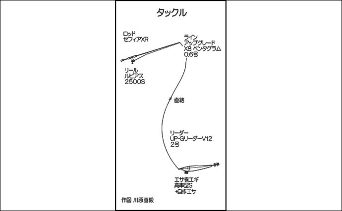 陸っぱりエギングでヤリイカ16尾【島根・大浦漁港】塩漬けチキンのエサ巻きエギに好反応