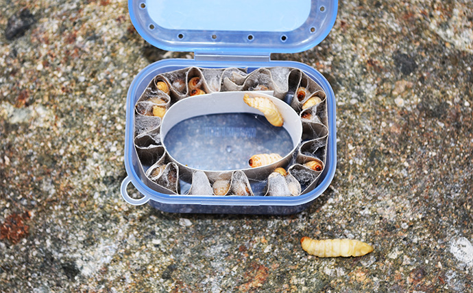 「アイドル活動よりも悔しい？」NMB48平山真衣がルアー釣りで悶絶【北田原マス釣り場】