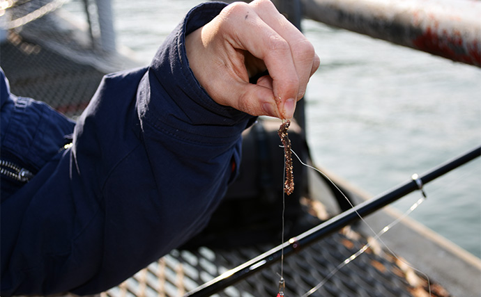 「アイドルの狩猟本能が覚醒！」NMB48平山真衣が成人後初の釣りでアジ爆釣　思わず悲鳴をあげたワケとは？