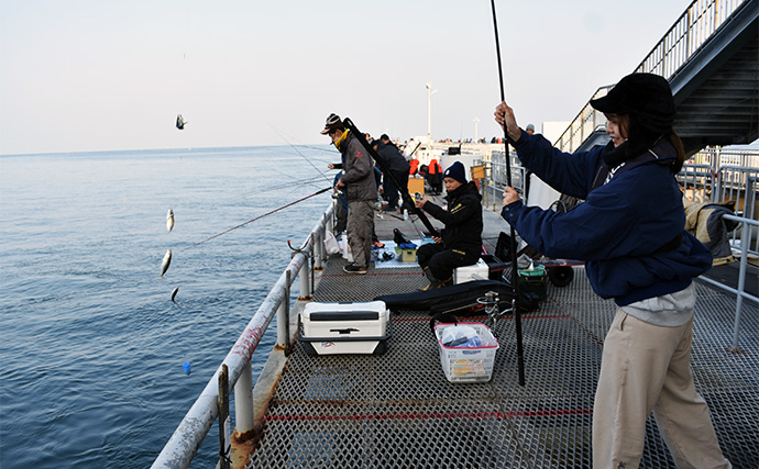 「アイドルの狩猟本能が覚醒！」NMB48平山真衣が成人後初の釣りでアジ爆釣　思わず悲鳴をあげたワケとは？