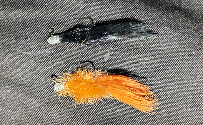 ライトソルトゲーム用タックルでエリアトラウト釣行【滋賀・アクアヘブン】フェザージグでニジマスヒット