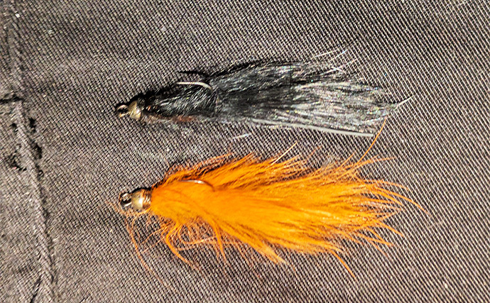 ライトソルトゲーム用タックルでエリアトラウト釣行【滋賀・アクアヘブン】フェザージグでニジマスヒット