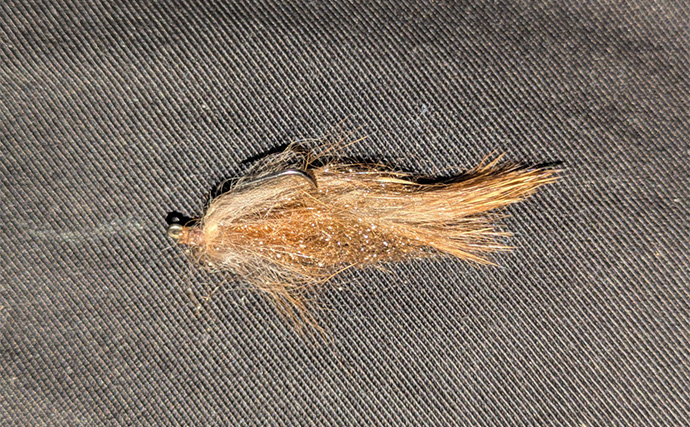 ライトソルトゲーム用タックルでエリアトラウト釣行【滋賀・アクアヘブン】フェザージグでニジマスヒット