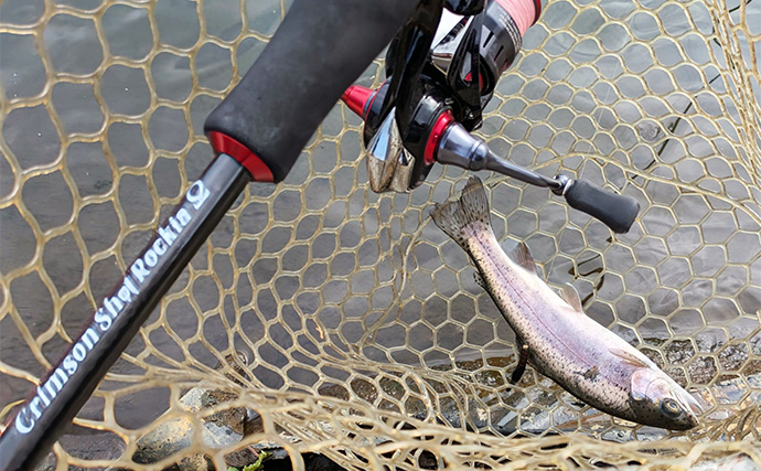 ライトソルトゲーム用タックルでエリアトラウト釣行【滋賀・アクアヘブン】フェザージグでニジマスヒット