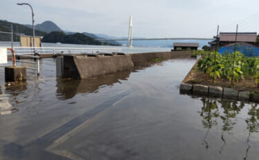 「船を転覆させてしまうことも」海に潜む知られざる危険『あびき』とは何か