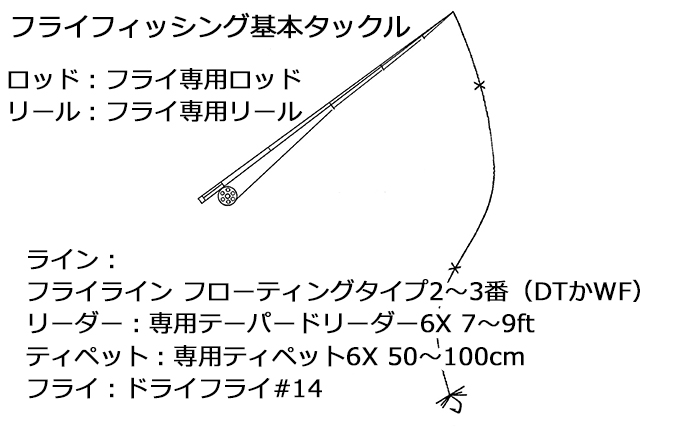渓流釣りの4つの釣り方【ルアー・エサ・フライ・テンカラ】を徹底解説 ！