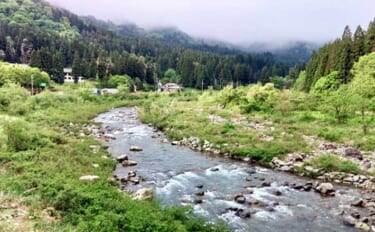 福井県のオススメ渓流河川：九頭竜川・上流部　釣り人少なく穴場的フィールド