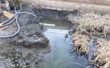 変わりゆく釣り場の風景　思い出のタナゴ釣り場へ出向いた先で見た景色に落胆