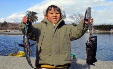 【海上釣り堀釣果速報】子供たちがクロソイの強い引きを堪能！（三重・愛知…