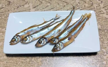 釣った魚で作る「おつまみ」レシピ：ワカサギの焼き絞め　揚げ物に飽きたあ…