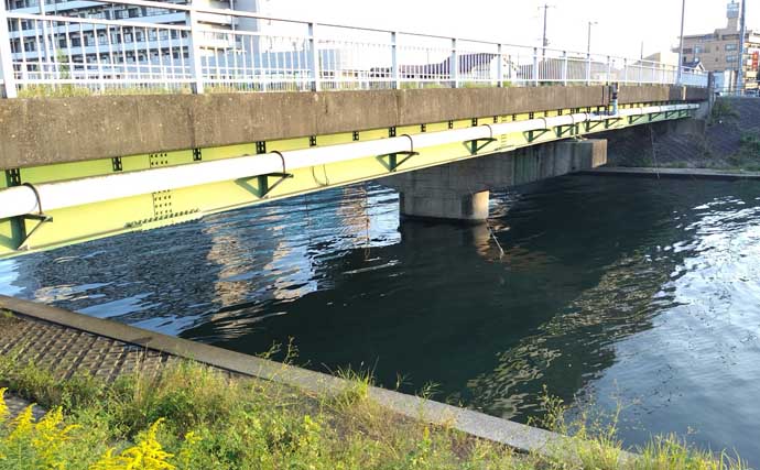 「マイクロベイト多過ぎ！」村田川シーバスゲームで40cm級本命2匹【千葉】アピール重視の攻めが的中