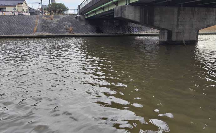 「マイクロベイト多過ぎ！」村田川シーバスゲームで40cm級本命2匹【千葉】アピール重視の攻めが的中