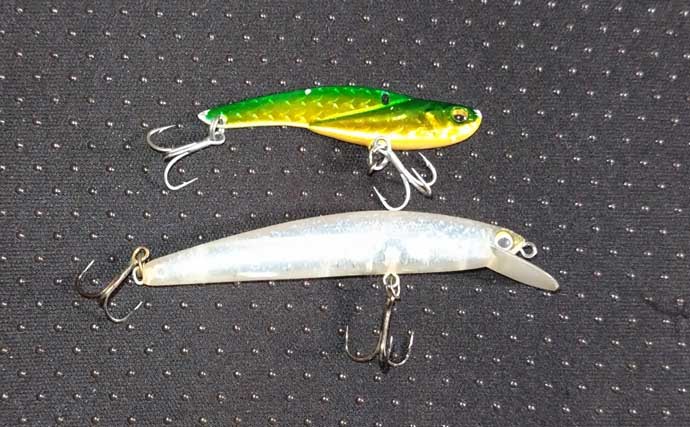 「マイクロベイト多過ぎ！」村田川シーバスゲームで40cm級本命2匹【千葉】アピール重視の攻めが的中