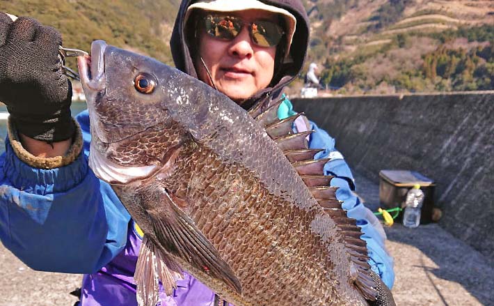波止フカセ釣りで51cm「年無し」チヌ手中【大分・畑野浦】2人で良型4尾