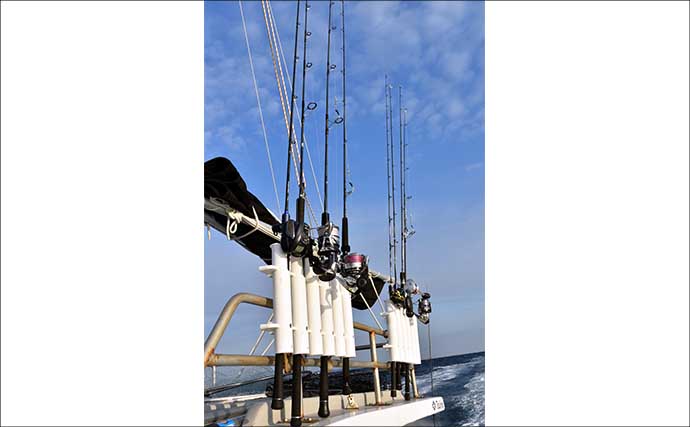 トンボ（ビンナガ）ジギング入門解説 【タックル・ジグ・釣り方・釣れた魚の処理】