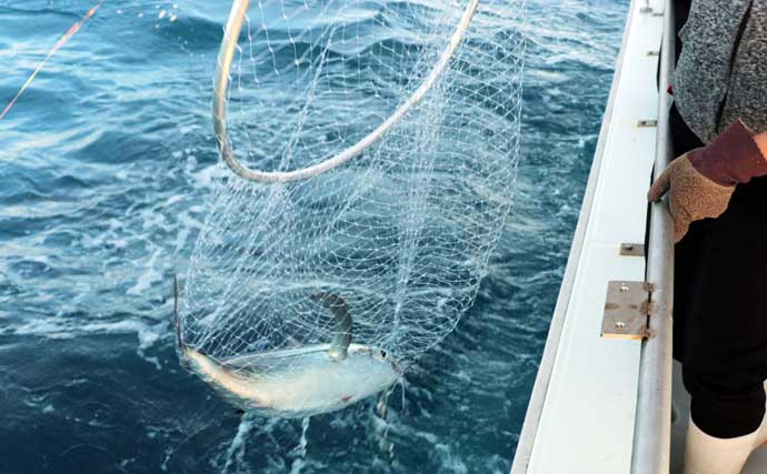 トンボ（ビンナガ）ジギング入門解説 【タックル・ジグ・釣り方・釣れた魚の処理】