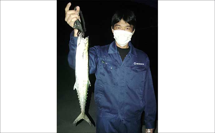 陸っぱりサゴシゲームで入れ食いを満喫！【和歌山南部】ルアー使い分けで釣果アップ