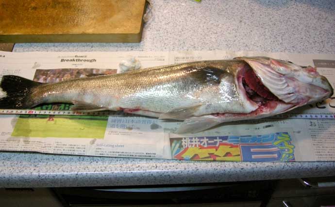 「ライン（釣り糸）の太さはどうやって決める？」 ターゲット・タックル・障害物の有無で考えよう