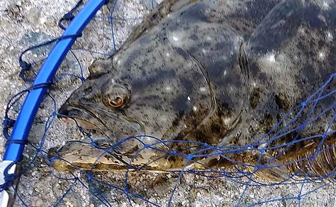 「ライン（釣り糸）の太さはどうやって決める？」 ターゲット・タックル・障害物の有無で考えよう