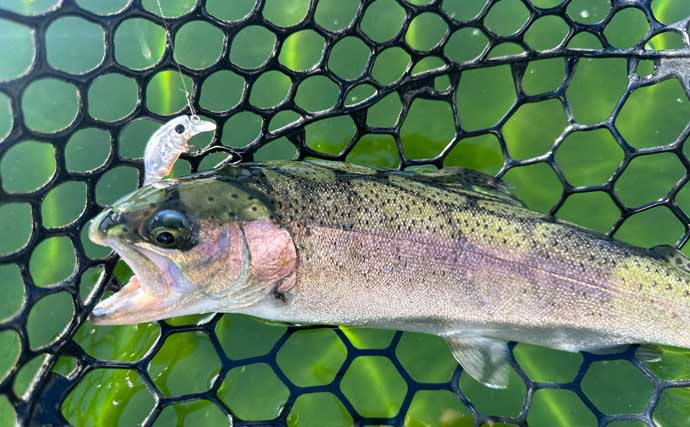 礒野寛之セレクト【おすすめ管理釣り場3選】　実績抜群のルアーと釣り方も紹介