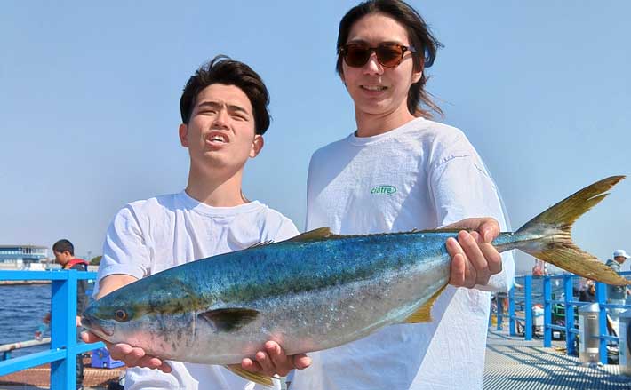 本牧海づり施設での泳がせ釣りでワラサ登場【神奈川】行きエサの