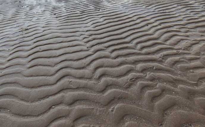 「釣り人的な思考でアサリを大漁ゲット！」潮干狩りを家族で満喫【兵庫・的形潮干狩場】
