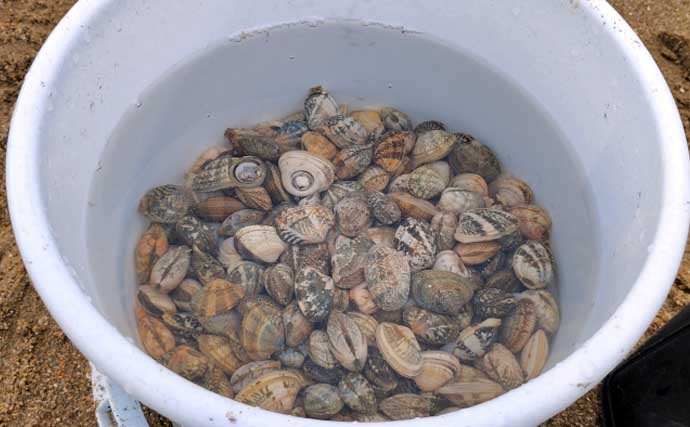 「釣り人的な思考でアサリを大漁ゲット！」潮干狩りを家族で満喫【兵庫・的形潮干狩場】