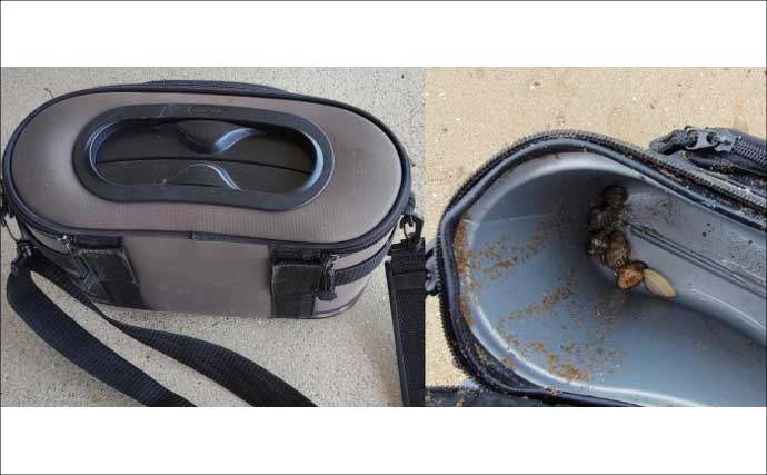 「釣り人的な思考でアサリを大漁ゲット！」潮干狩りを家族で満喫【兵庫・的形潮干狩場】