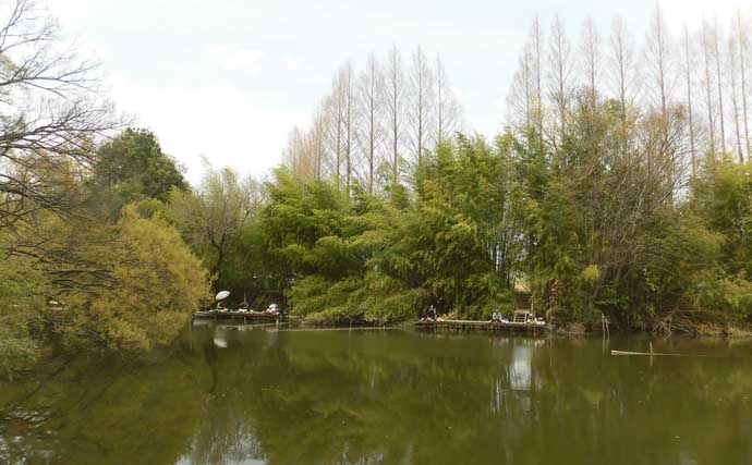 今週のヘラブナ推薦釣り場2025【埼玉・丸堀】