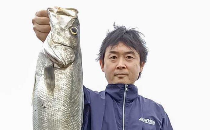 木曽川で65cm「上りマダカ」をキャッチ【愛知・立田下流】アオイソメエサのぶっ込み釣りで狙う