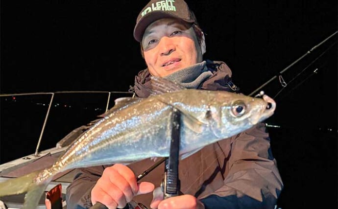 伊万里湾バチコンアジング釣行で37cmメガアジ！【佐賀】マイクロベイトパターンが的中