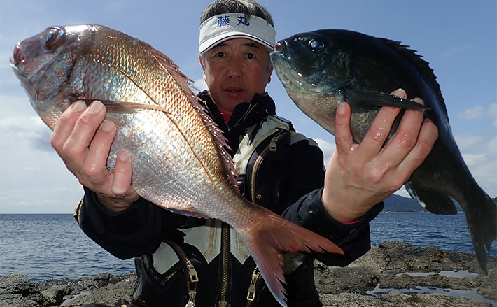 フカセ釣りで45cm筆頭に良型クロ連発【鹿児島・里の磯】マダイやイサキ