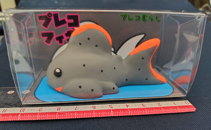 「プレコへの愛が止まらない！」世界初のプレコデザイナーに創作の原点を聞いた