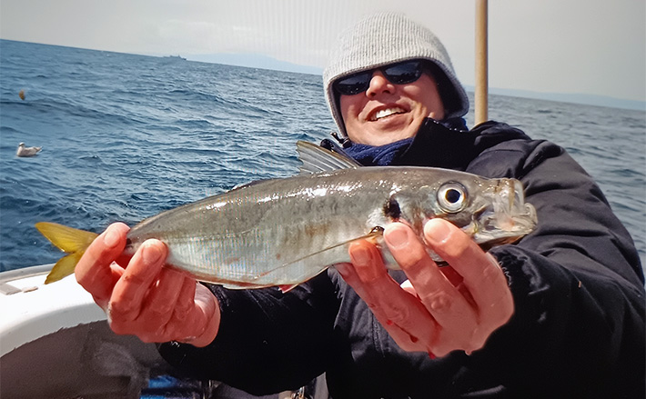 アジ・マダイ五目釣りで40cm超えの大型アジが続々【神奈川・洋征丸