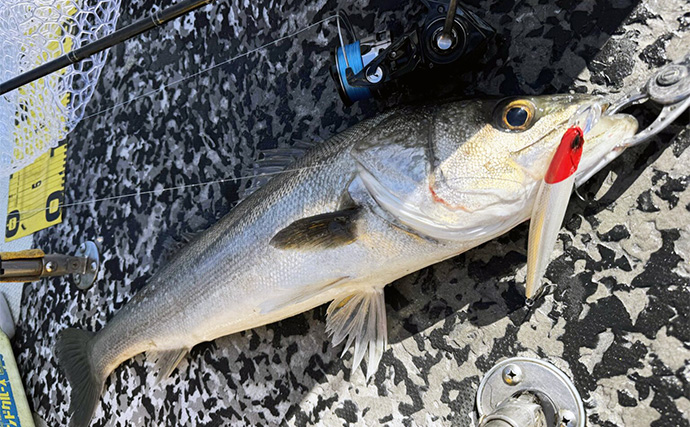 東京湾人気ガイド船船長が1年半に渡りテストを敢行！新リール【デュライズ】開発秘話に迫る