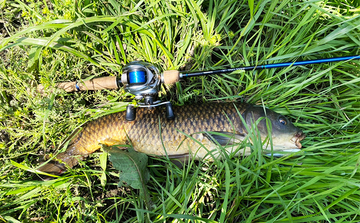 ルアーを使ってパンを流す？」綾瀬川のパン鯉釣りでコイ5匹を手中