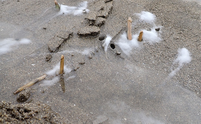 潮干狩りで「マテガイ」が大漁！【福岡・蓑島海水浴場】バターしょう油炒めに舌鼓