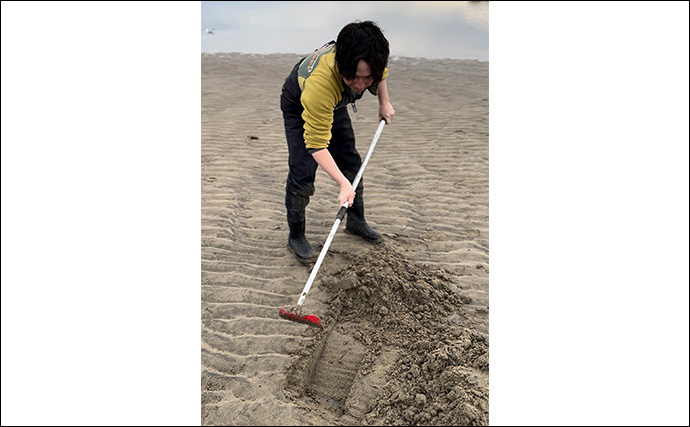 潮干狩りで「マテガイ」が大漁！【福岡・蓑島海水浴場】バターしょう油炒めに舌鼓