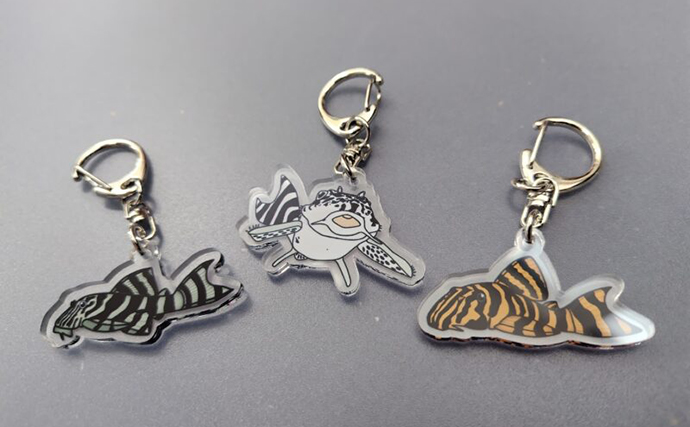 「プレコへの愛が止まらない！」世界初のプレコデザイナーに創作の原点を聞いた