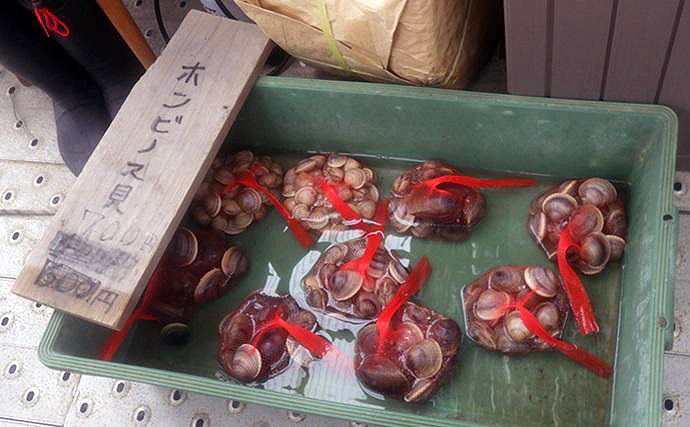 100均アイテムをフル活用で潮干狩りに挑戦！　東京湾で天然ハマグリをゲット