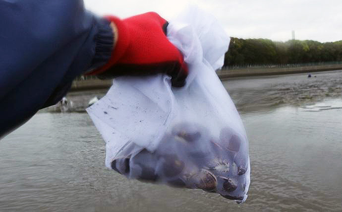 100均アイテムをフル活用で潮干狩りに挑戦！　東京湾で天然ハマグリをゲット
