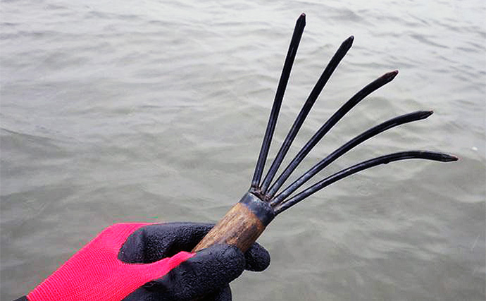 100均アイテムをフル活用で潮干狩りに挑戦！　東京湾で天然ハマグリをゲット