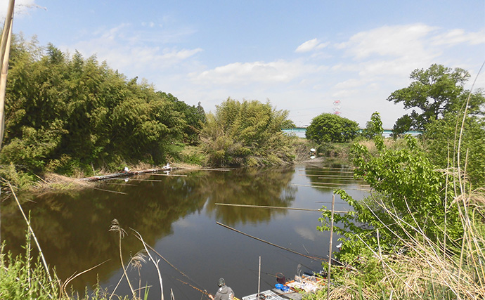 今週のヘラブナ推薦釣り場2025【埼玉・明秋ひょうたん】